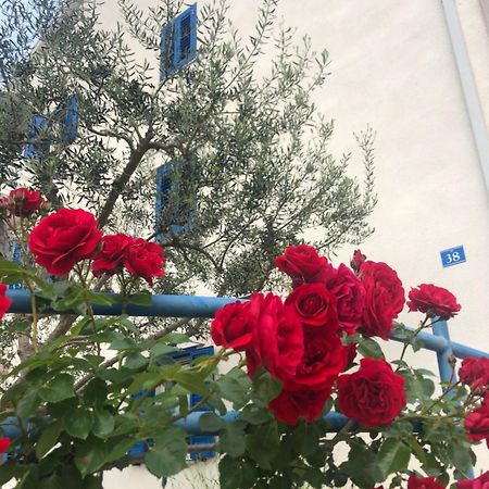 Olive Tree Apartments Умаг Екстериор снимка