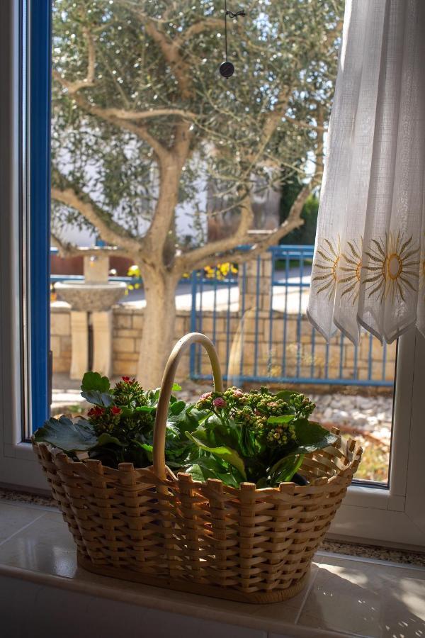 Olive Tree Apartments Умаг Екстериор снимка